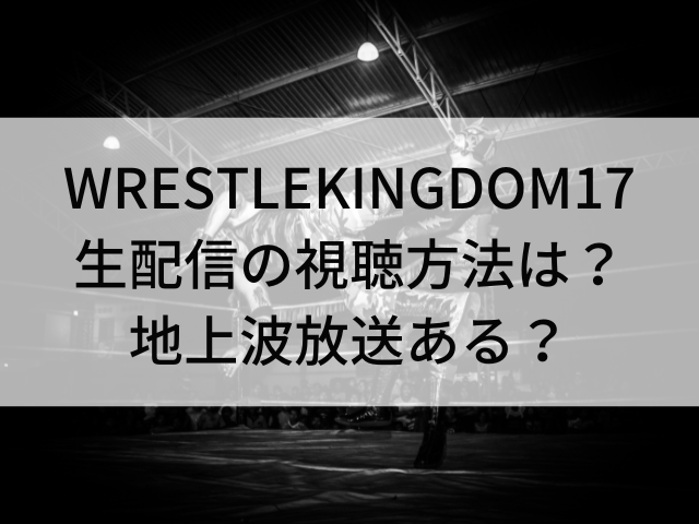 WRESTLE KINGDOM 17 生配信 視聴方法 地上波